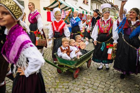 Povorka ob dnevih narodnih noš in oblačilne dedščine (86)